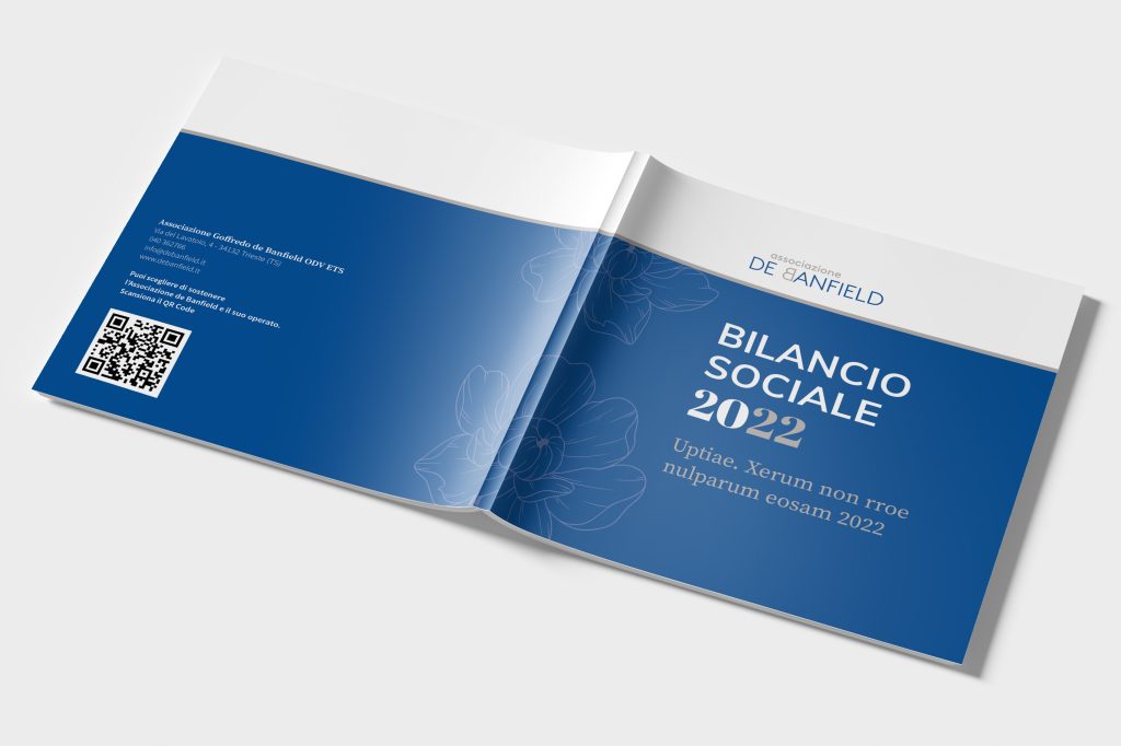 layout Copertina stesa Impaginazione Bilancio sociale