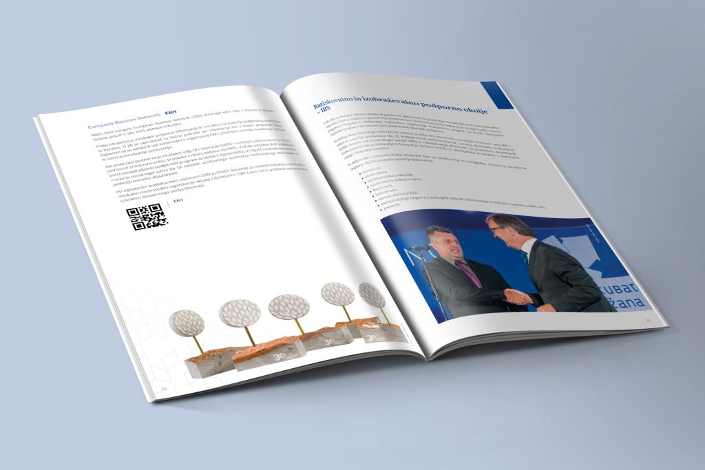 Grafica Bilancio aziendale impaginazione layout interno